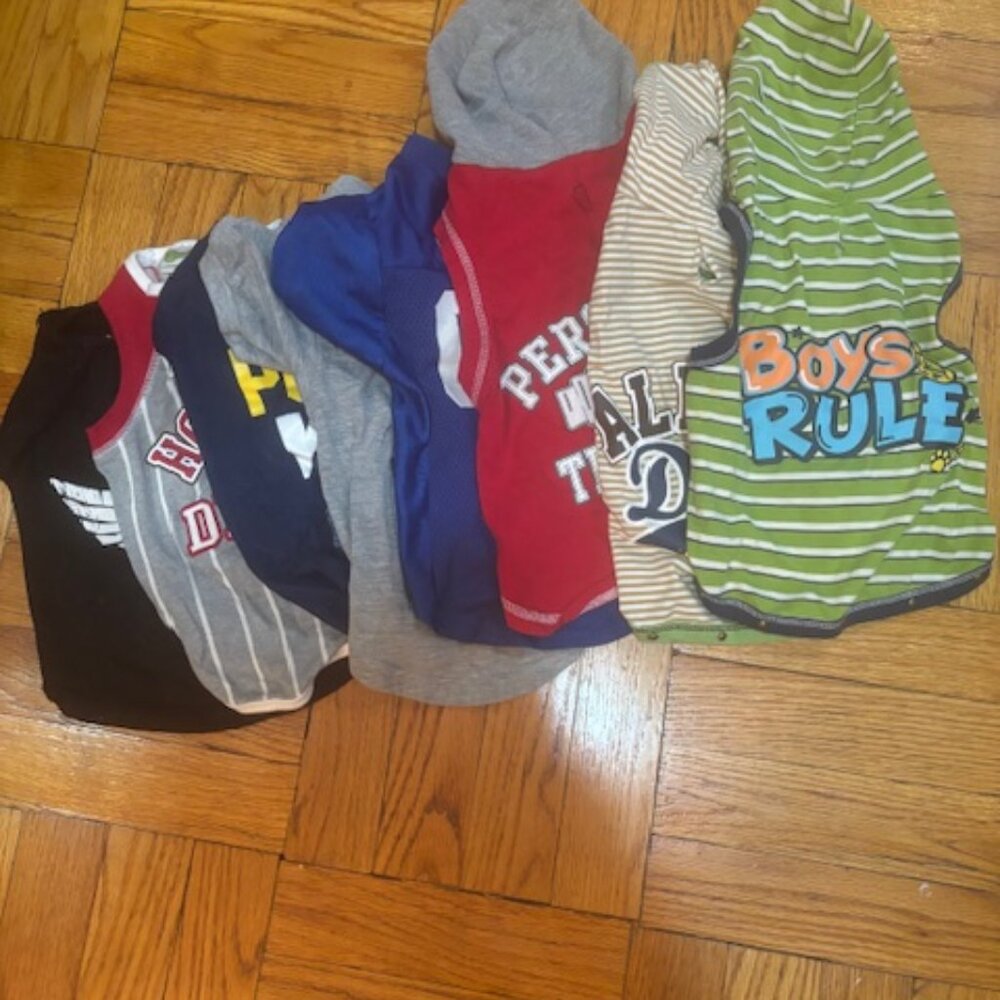 8 Boy Dog TEES!